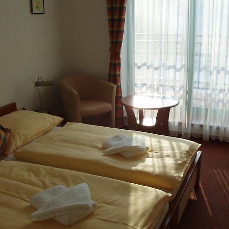 Hotel Loucky Litvínov エクステリア 写真