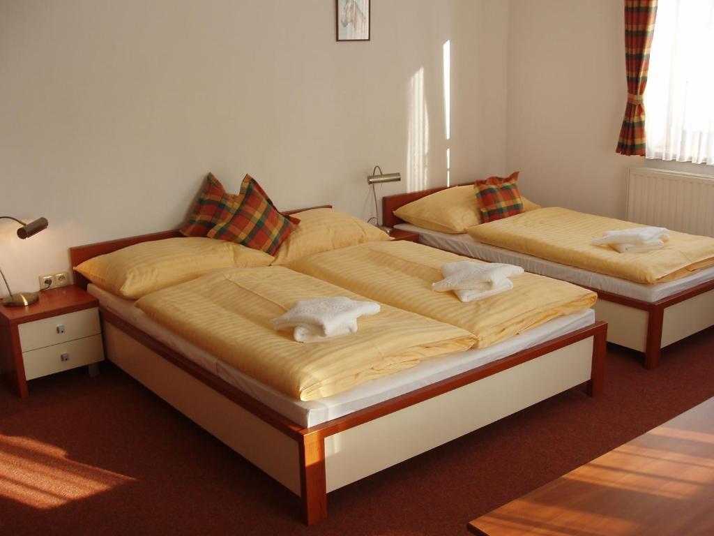 Hotel Loucky Litvínov 部屋 写真