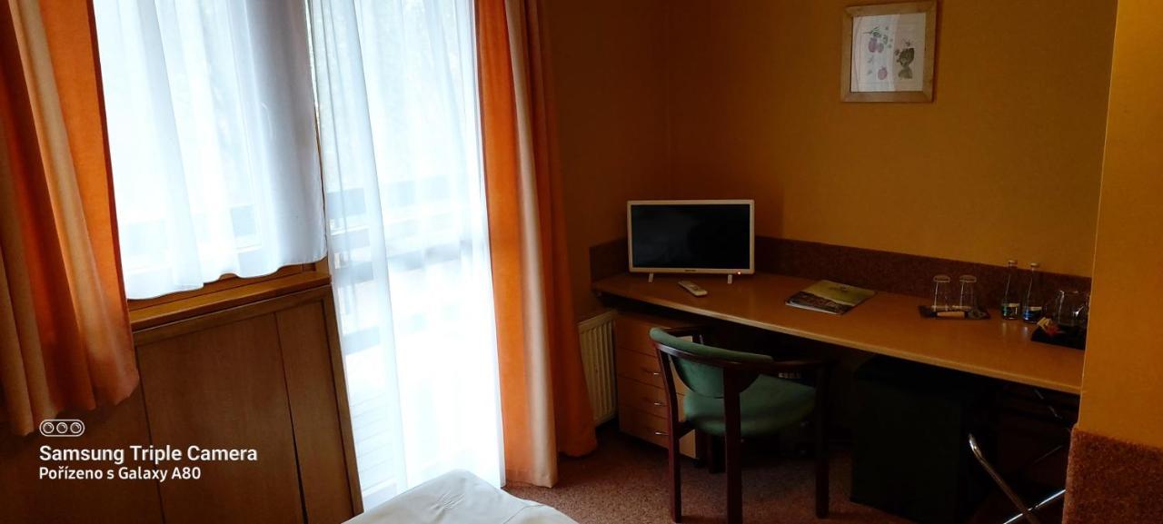 Hotel Loucky Litvínov エクステリア 写真