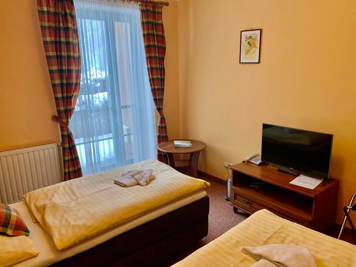 Hotel Loucky Litvínov エクステリア 写真