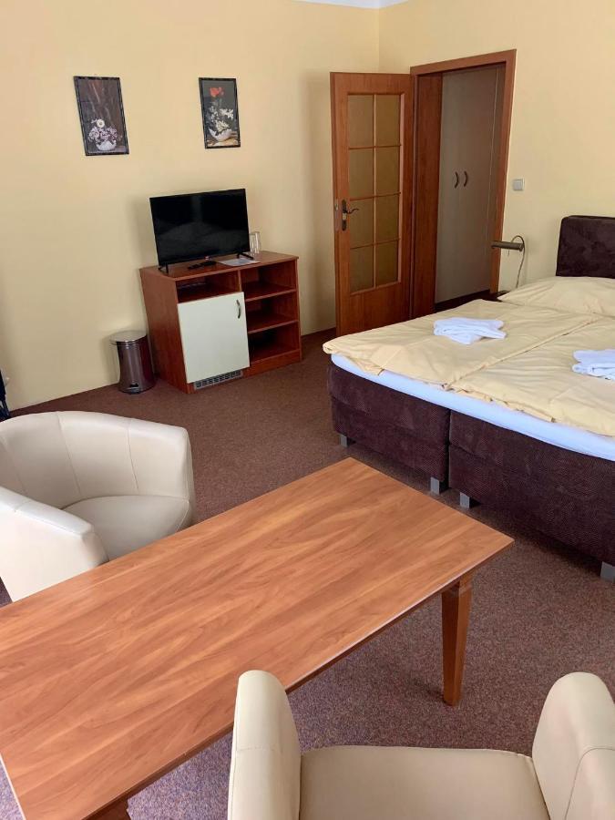 Hotel Loucky Litvínov エクステリア 写真