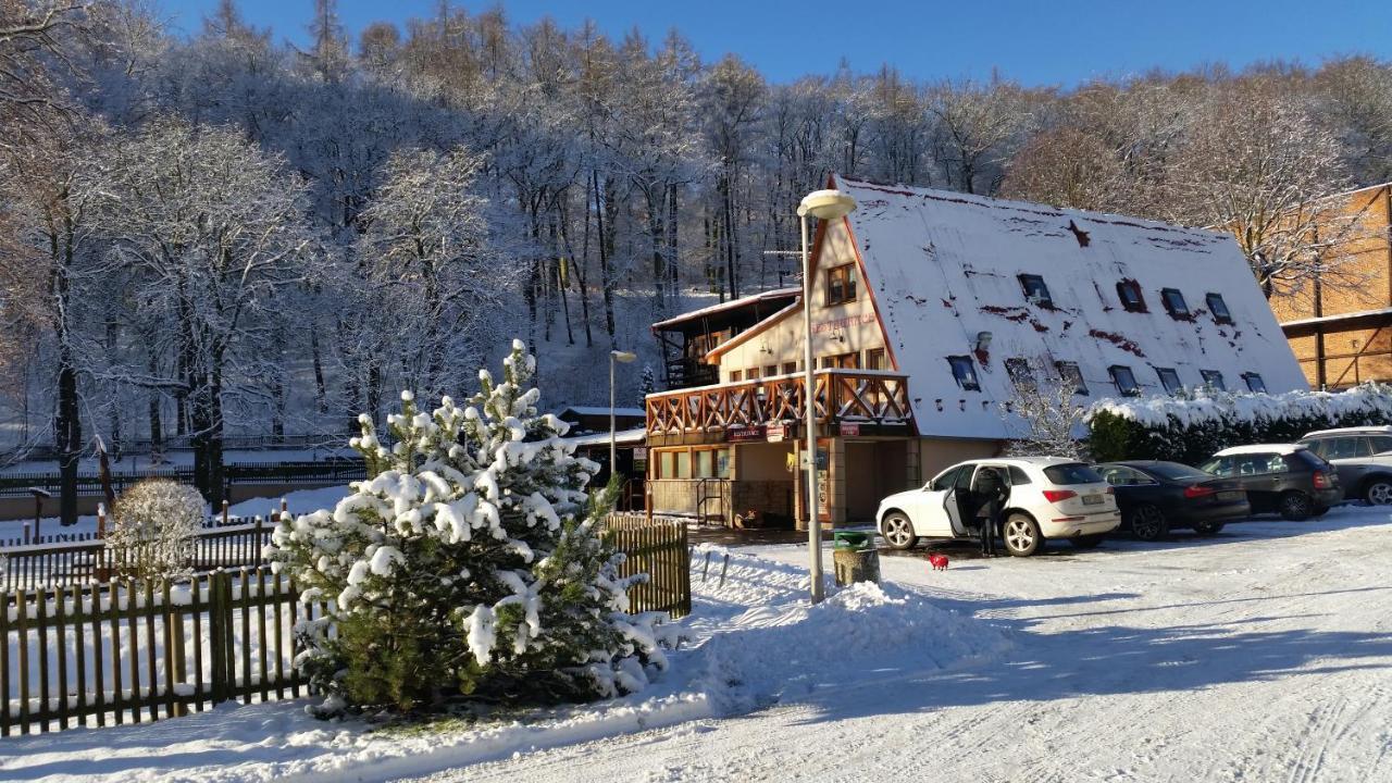 Hotel Loucky Litvínov エクステリア 写真